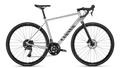 Canyon Endurace AllRoad